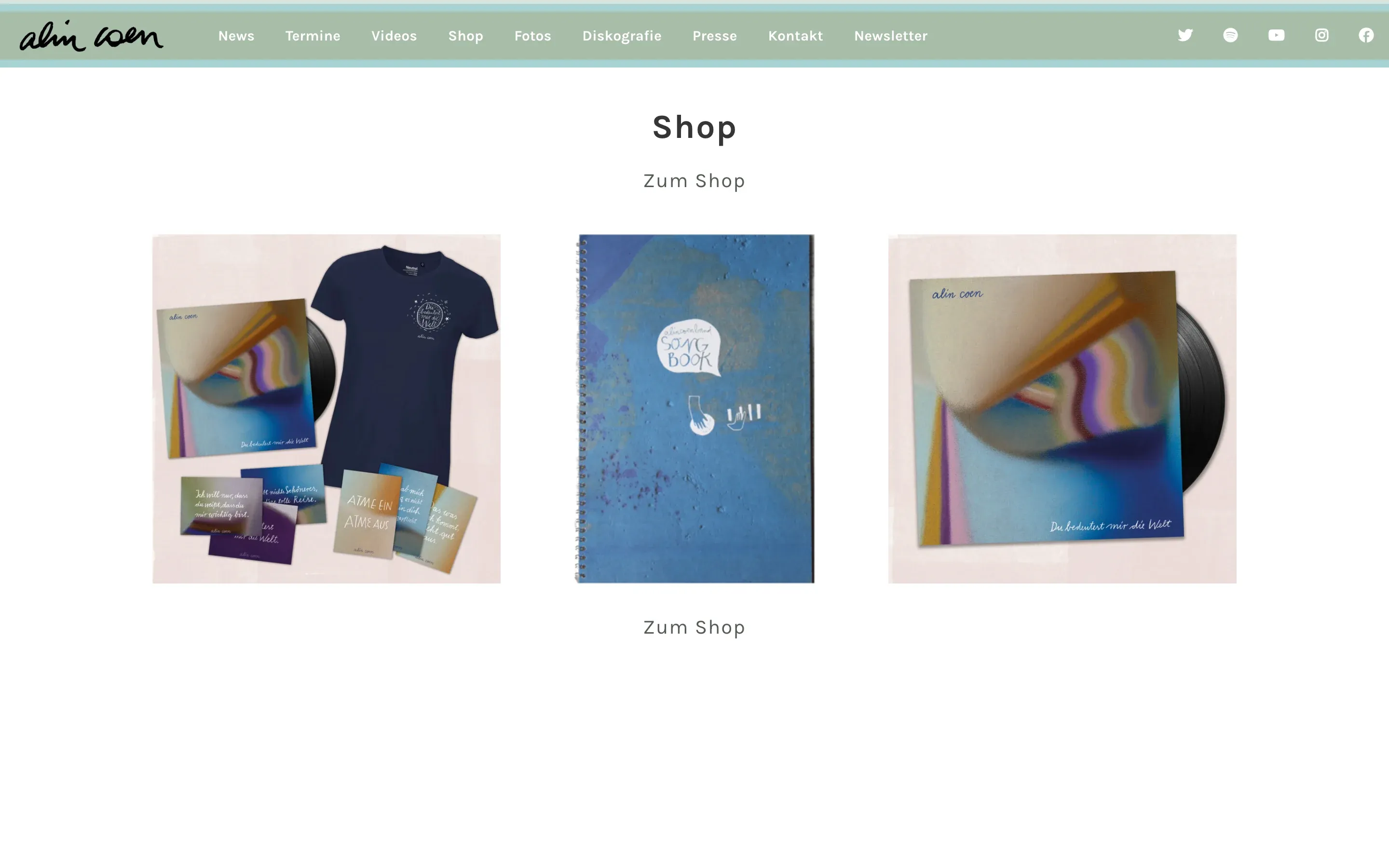 Shop-Bereich auf alincoen.com mit Merchandise und Alben